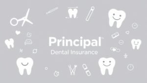 how Principal Dental Insurance works